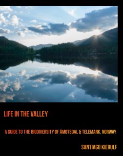 Life In The Valley book cover