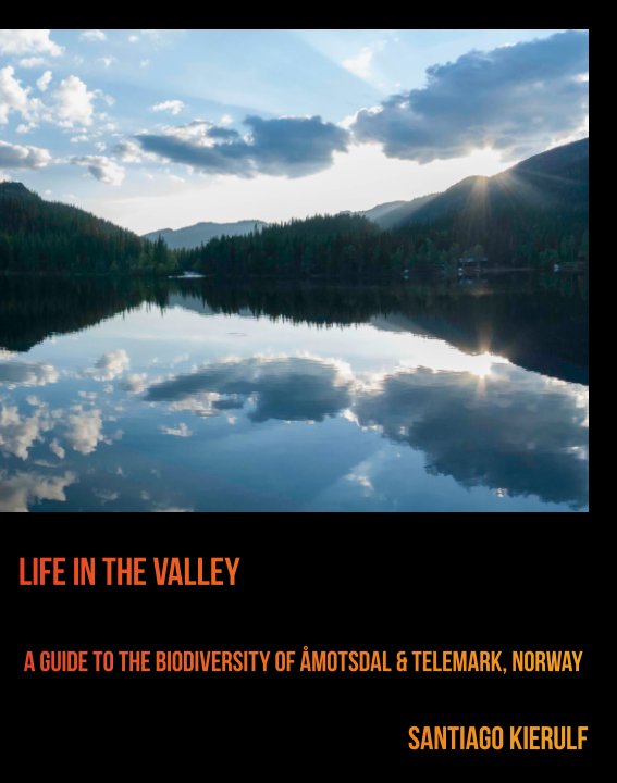 View Life In The Valley by Santiago Kierulf