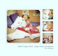 Wells Fargo 2011 Large Pony Donations
The Stories book cover