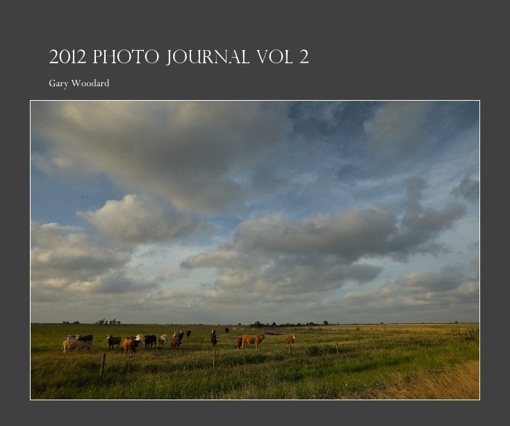 View 2012 Photo Journal Vol 2 by Gary Woodard
