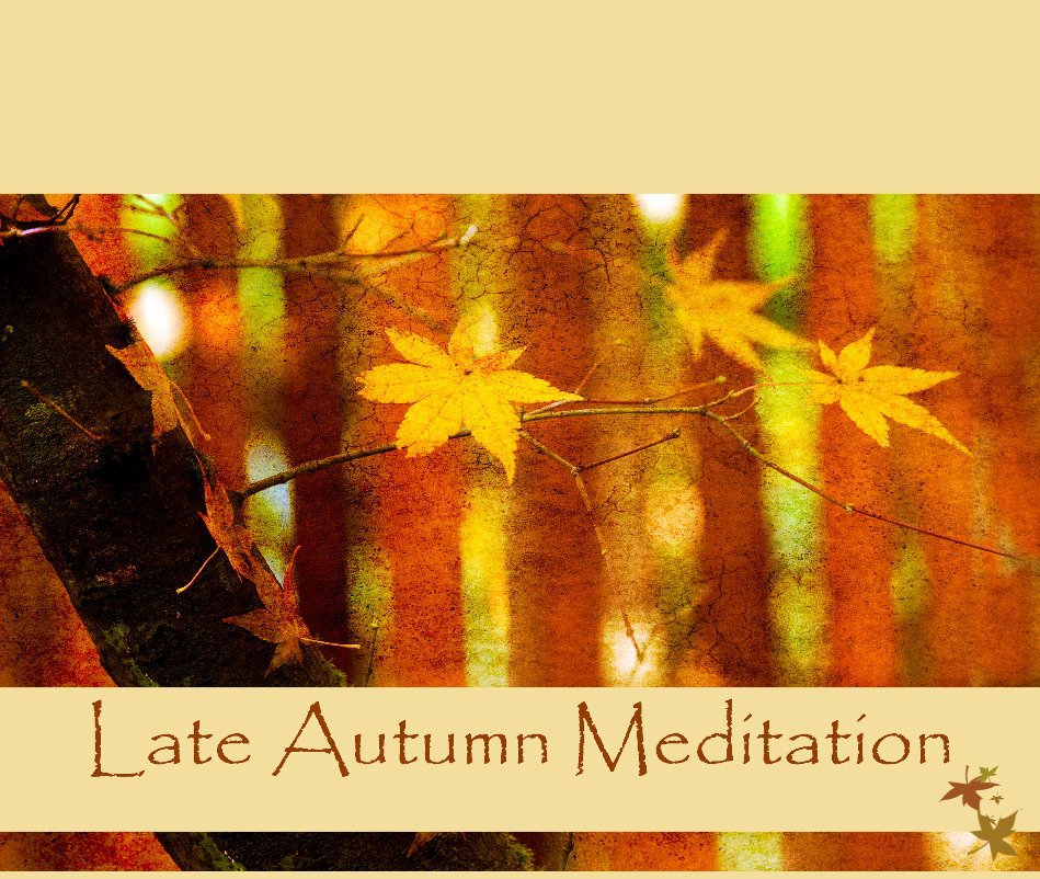 View Late Autumn Meditation by Rita Cavin and Rebecca Cozart