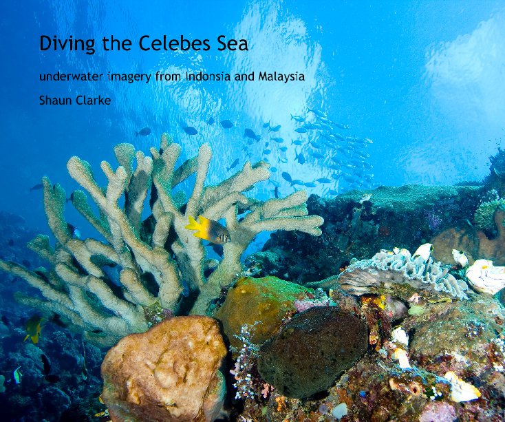 Ver Diving the Celebes Sea por Shaun Clarke