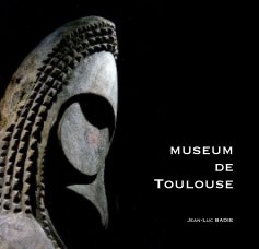 Museum de Toulouse book cover