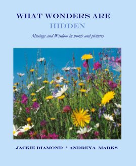 WHAT WONDERS ARE HIDDEN book cover