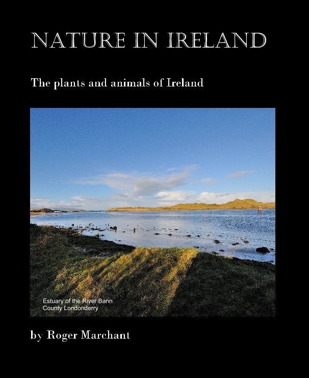 View Nature in Ireland by Roger Marchant