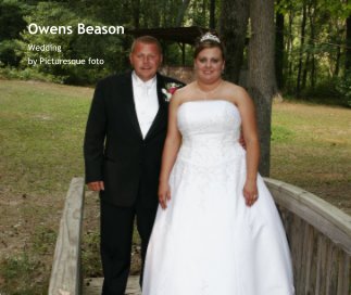 Owens Beason book cover