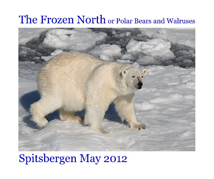 View The Frozen North or Polar Bears and Walruses Spitsbergen May 2012 by Bryan Roberts
