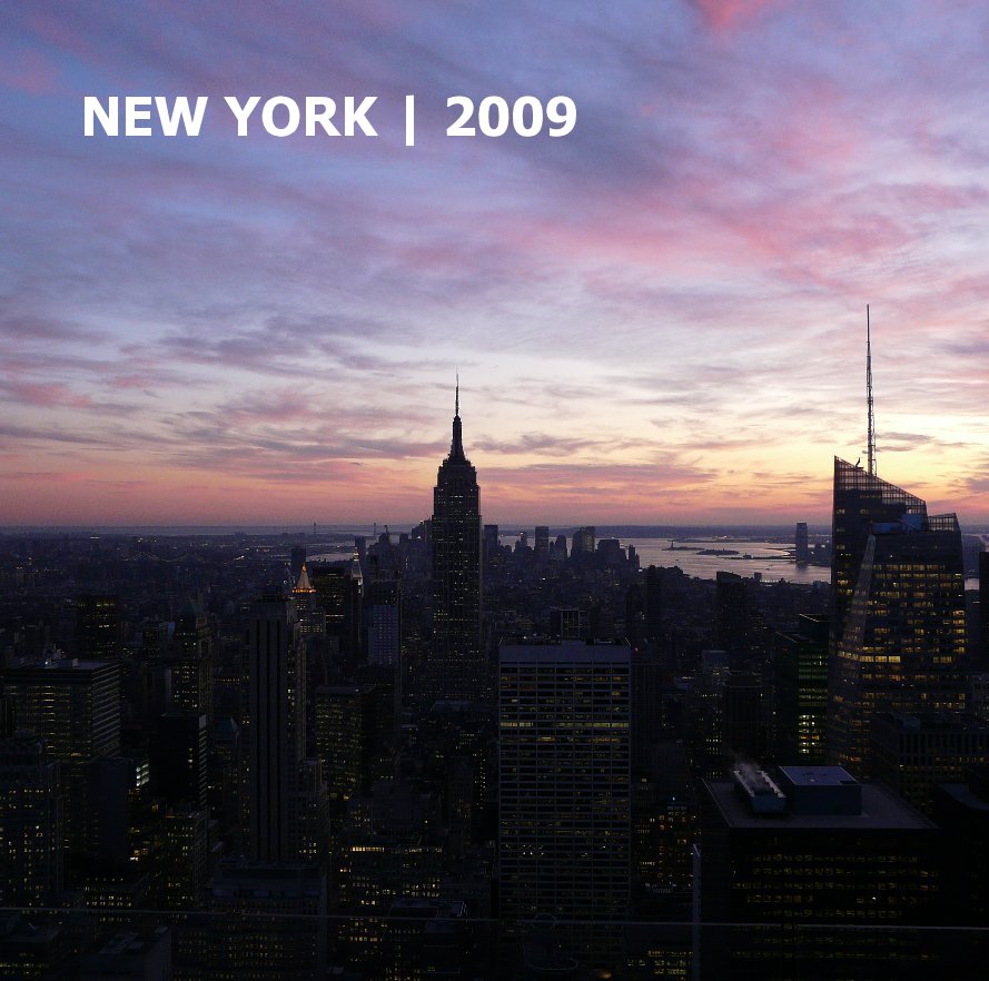 View NEW YORK | 2009 by sipsma
