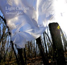 Light Catcher book cover