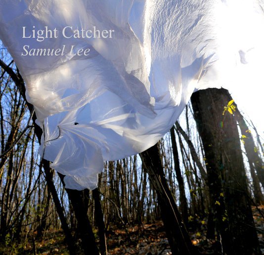 View Light Catcher by Samuel Lee