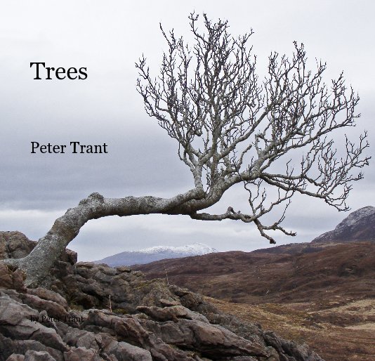 View Trees Peter Trant by Peter Trant