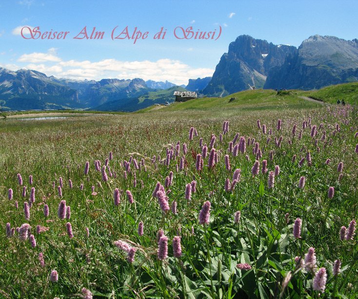Ver Seiser Alm (Alpe di Siusi) por simosimo