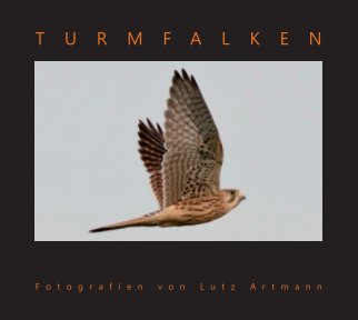 Turmfalken book cover