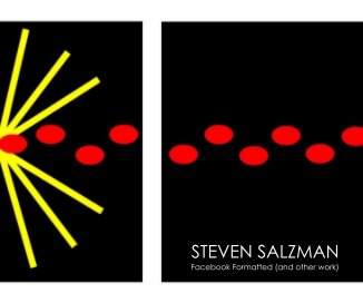 STEVEN SALZMAN book cover