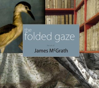 The Folded Gaze_ book cover