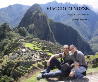 VIAGGIO DI NOZZE book cover