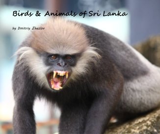 Birds & Animals of Sri Lanka book cover