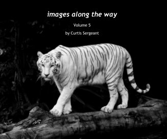 images along the way book cover