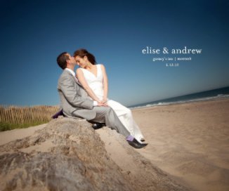 Elise and Andrew book cover
