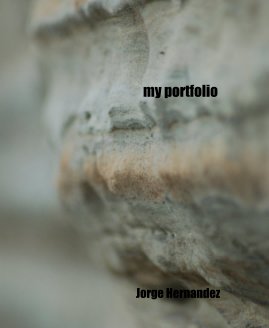 my portfolio book cover