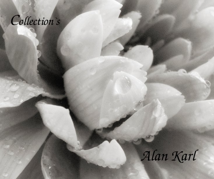 Visualizza Collection`s Alan Karl di Alan Karl