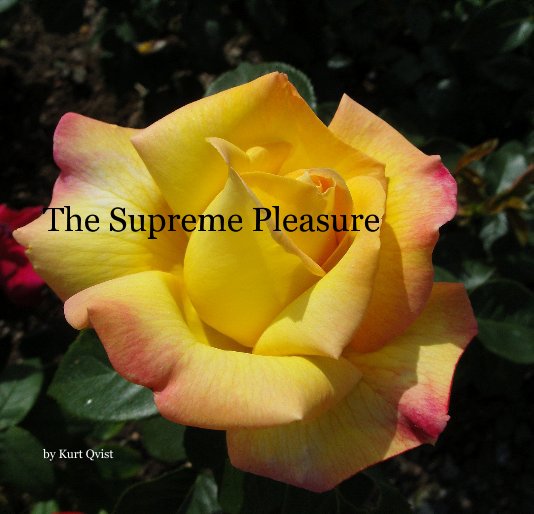 View The Supreme Pleasure by Kurt Qvist