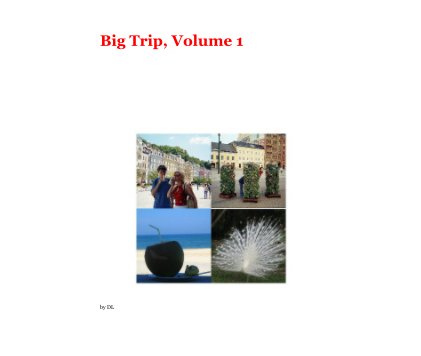 Big Trip, Volume 1 book cover