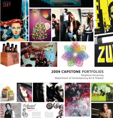 2009 Capstone Book book cover