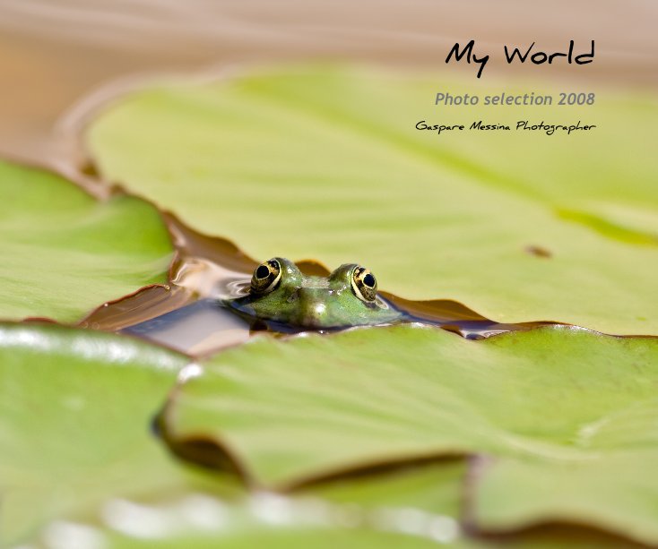 View My World by Gaspare Messina Photographer