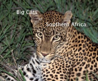 Big Cats of Southern Africa book cover