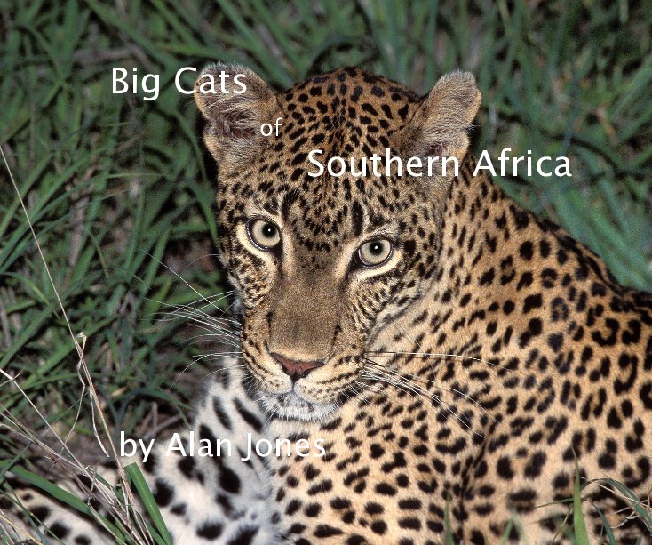View Big Cats of Southern Africa by Alan Jones