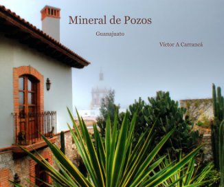 Mineral de Pozos book cover