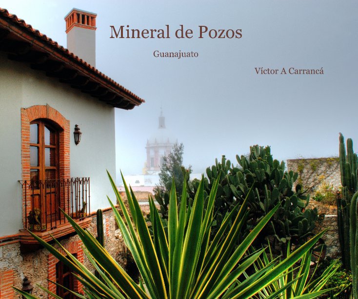 View Mineral de Pozos by Víctor A Carrancá