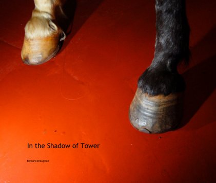 In the Shadow of Tower book cover