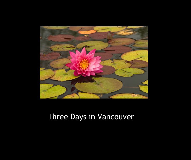 View Three Days in Vancouver by ladymary