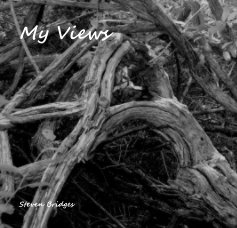 My Views book cover