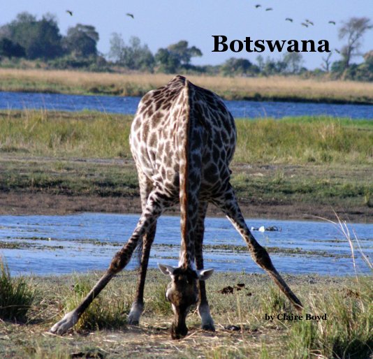 View Botswana by Claire Boyd