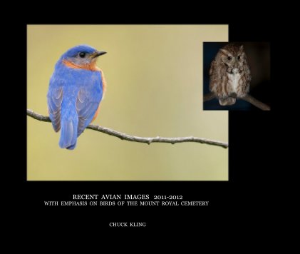 RECENT AVIAN IMAGES 2011-2012 WITH EMPHASIS ON BIRDS OF THE MOUNT ROYAL CEMETERY book cover