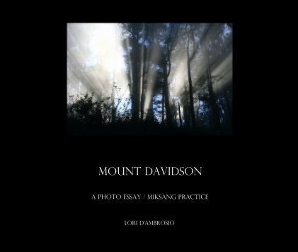 Mount Davidson book cover