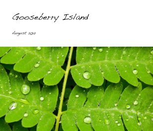 Gooseberry Island book cover