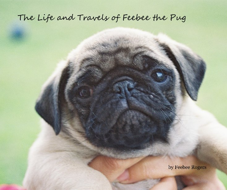 Ver The Life and Travels of Feebee the Pug por Feebee Rogers