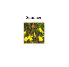 Summer book cover