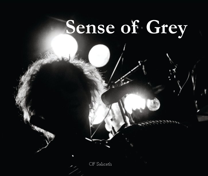 View Sense of Grey by CF Salicath