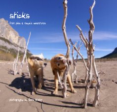 sticks from pika & maya's adventures book cover