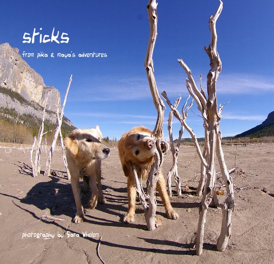 Ver sticks from pika & maya's adventures por Sara Whelen