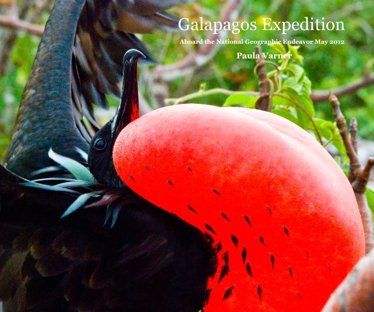 View Galapagos Expedition by Paula Varner