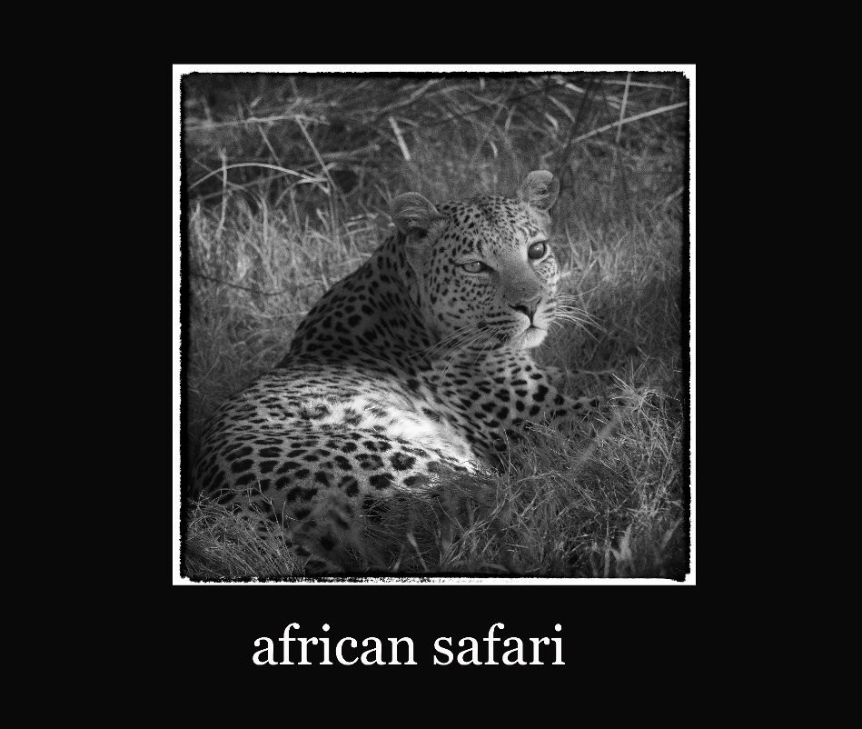 View African Safari by Lynn Clayton
