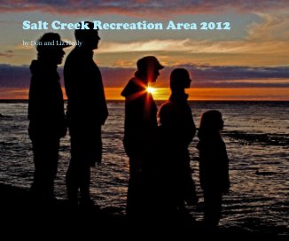 Salt Creek Recreation Area 2012 book cover
