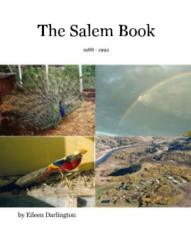 The Salem Book book cover