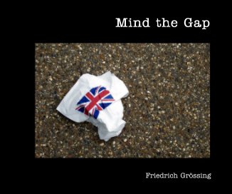 Mind the Gap book cover